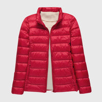Cuello alzado Rojo